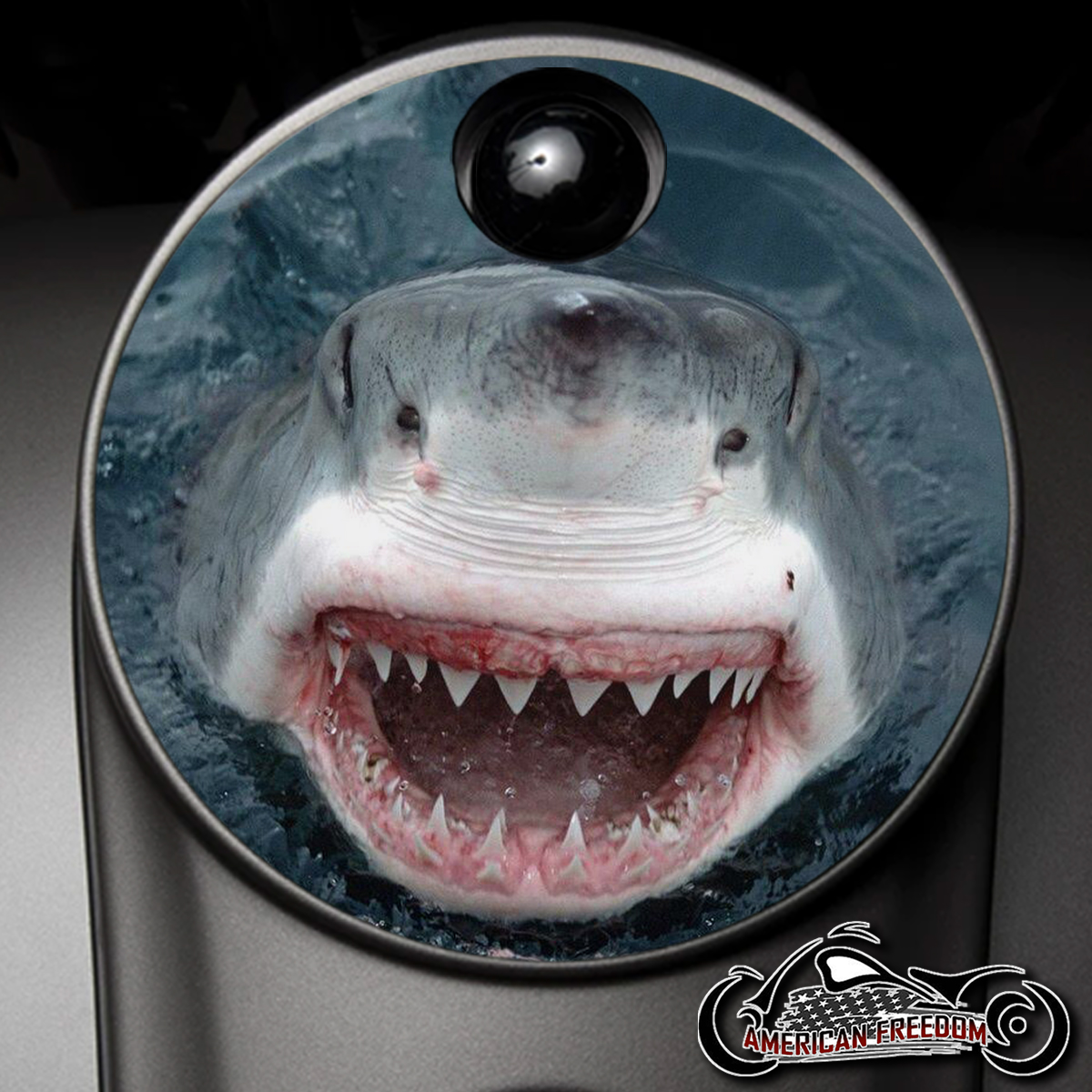 Custom Fuel Door - Shark